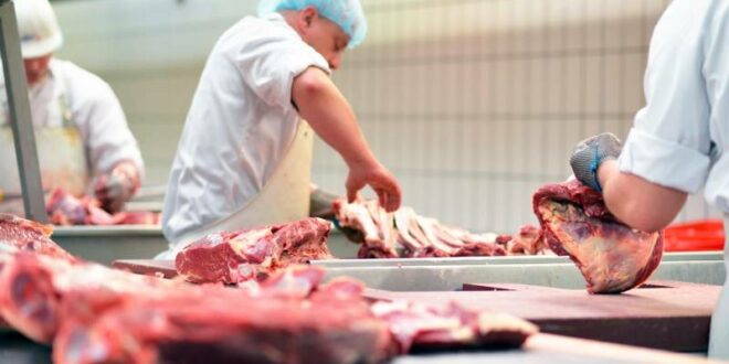 México realiza auditoría con miras a autorizar ingreso de carne bovina paraguaya a su mercado